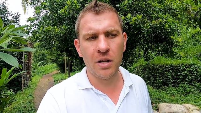 Bali waterfall / Тур по водопадам Бали / Наш ТОП водопадов смотреть онлайн