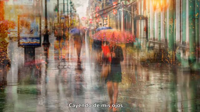 Dee Clark (Raindrops) （雨滴） смотреть онлайн