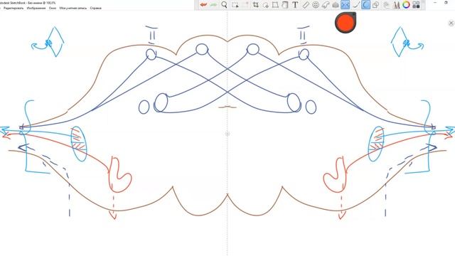 Центральная нервная система: внутреннее строение продолговатого мозга смотреть онлайн