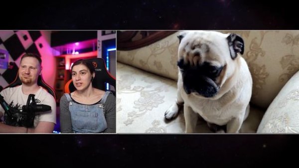 ОБЗОР на МОПСА | Реакция на Jolygolf