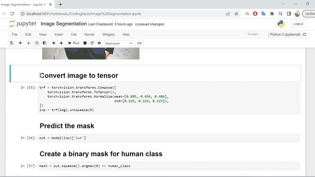 Human Segmentation from Image using Python (Deep Learning) смотреть онлайн