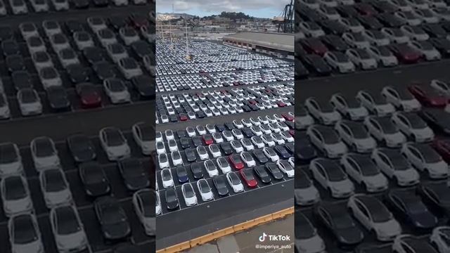 Как выглядит миллион долларов обоснованные смотреть онлайн