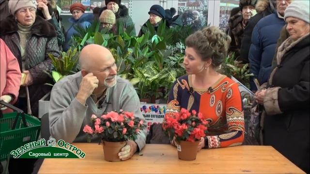 Розы. Передержка роз до пасадки весной. часть 1. Спящие саженцы роз, как сохранить. смотреть онлайн