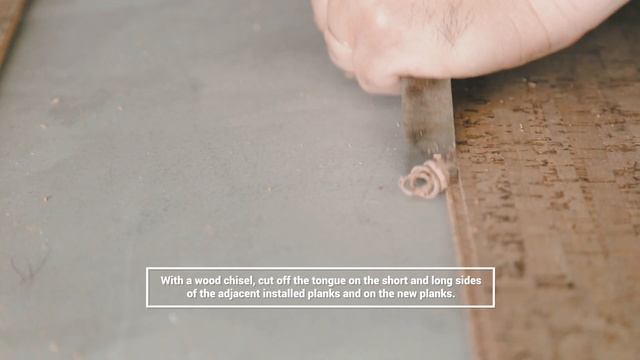 How To Repair Wise By Amorim