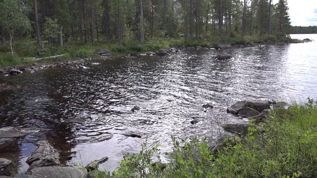 01.08.2022 Путник.mp4