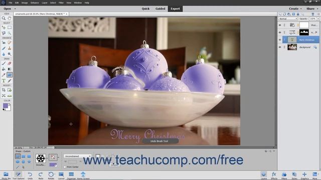 Photoshop Elements 2020 Tutorial Raster vs. Vector Adobe Training смотреть онлайн