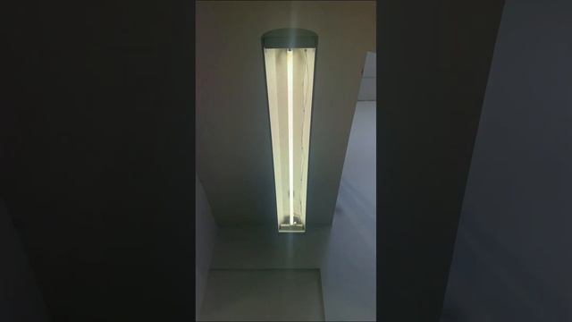 Philips and Sylvania 58w T8 Fluorescent Tubes смотреть онлайн