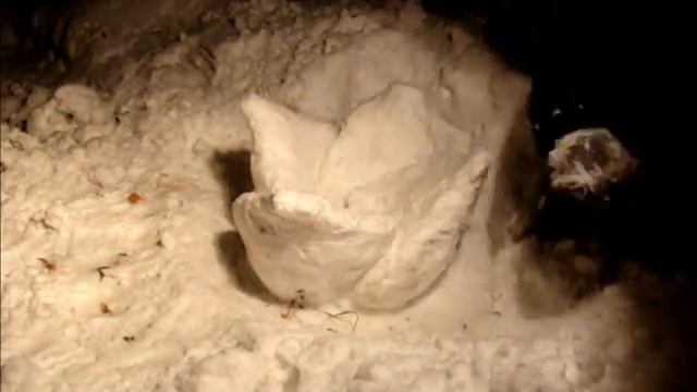 Творчество из снега ЦВЕТОК 2 смотреть онлайн