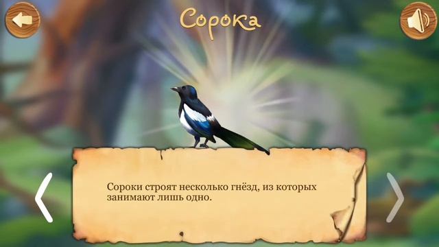 Птицы Леса. Развивающие мультики для малышей. Звуки леса смотреть онлайн