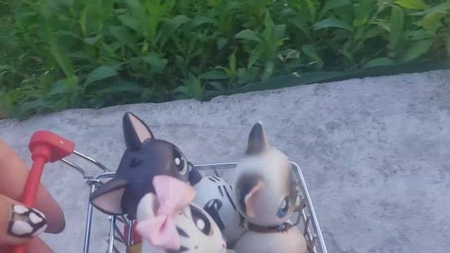 Дурка вместе с Лп смотреть онлайн