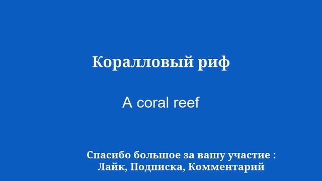 50 основных слов и фраз для изучения английского языка безошибочным способом смотреть онлайн
