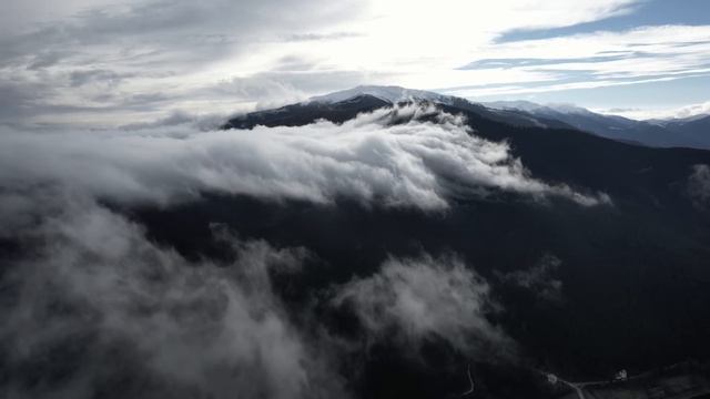 How the return of the Bison will transform Europe смотреть онлайн