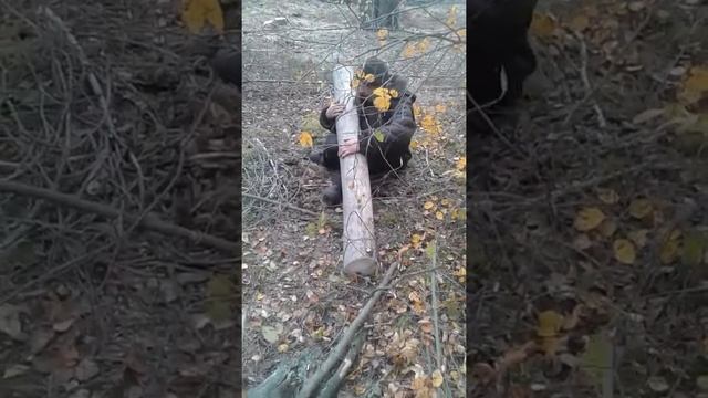 Ваня готовит дрова на зиму смотреть онлайн