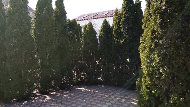 Ландшафтный дизайн. Выдубычи-Зверинецкая смотреть онлайн