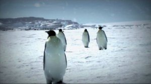 «Что Где Когда» — Зимняя серия игр – 2016  Игра первая  Анонс