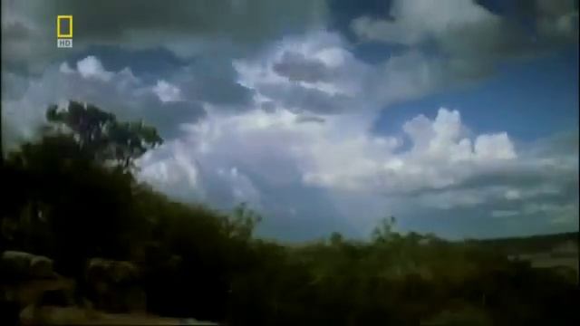 Как зародилась жизнь-планета Земля смотреть онлайн