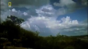 Как зародилась жизнь-планета Земля