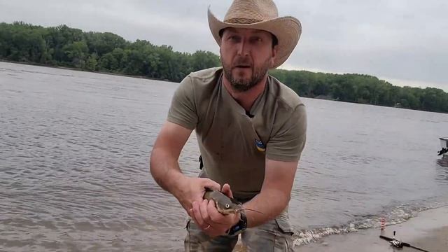 Рыбалка и рыба на Миссисипи. #миннесота #миссисипи #гринкарта смотреть онлайн