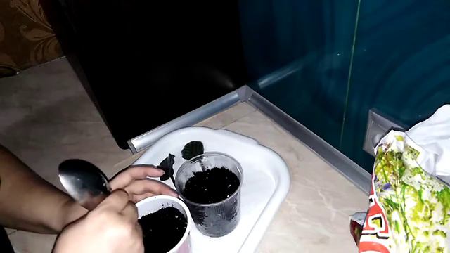 Что делать с листком фиалки(размножаем)? смотреть онлайн