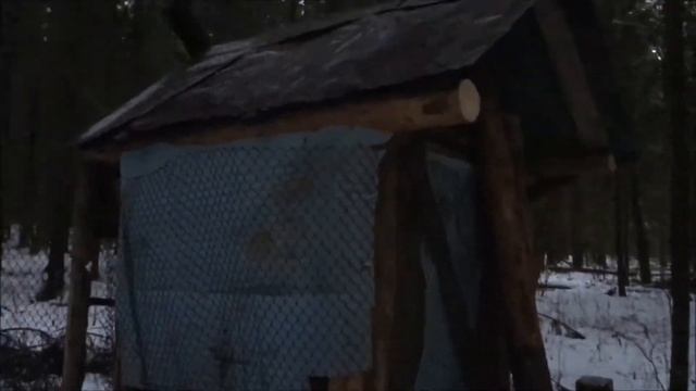 VLOG 14: Новый год в лесной избе смотреть онлайн