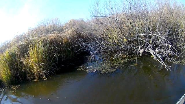 На каяке со спаниелем смотреть онлайн