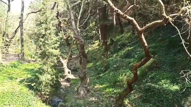 Вышивка. Все начатые процессы. Прогулка в парке. смотреть онлайн