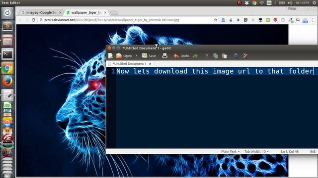 download image using python смотреть онлайн