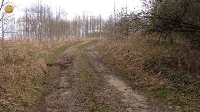 КАК ТАКОЕ МОЖНО НАЙТИ?! XP Deus коп ПО ЖЕЛЕЗУ на старой дороге | Золотое Хобби смотреть онлайн