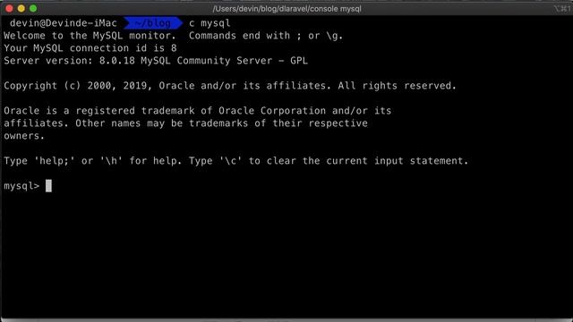 D-Laravel in project mode смотреть онлайн