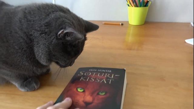 Местные падежи. Внешне-местные падежи смотреть онлайн