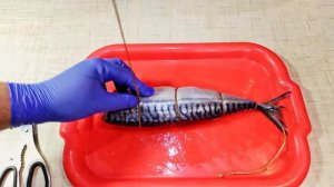 Скумбрия горячего копчения на газовой плите