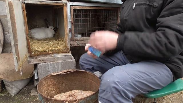 Заболевания глаз кроликов. Лечим! смотреть онлайн