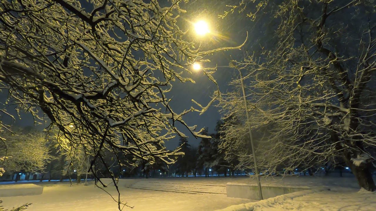 Sounds of a Blizzard and Falling Snow for Sleep and Relaxation смотреть онлайн