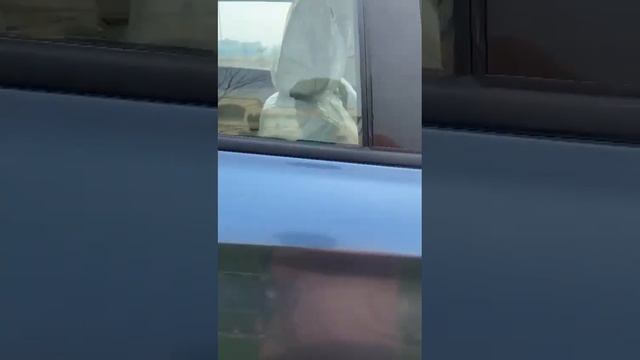 Changan Oshan X7 Short Review смотреть онлайн