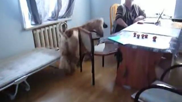 4-5.02.2012. Жаворонки. смотреть онлайн