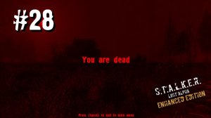 СЕВЕРНЫЕ ХОЛМЫ))) ► S.T.A.L.K.E.R. Lost Alpha Enhanced Edition ► #28