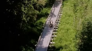 Лесная царевна