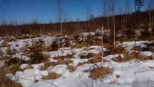 Где и как искать рога. Часть первая. смотреть онлайн