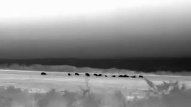 visor térmico guide 25mm смотреть онлайн