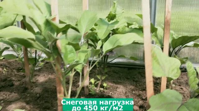 Дачная-Стрелка смотреть онлайн