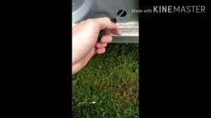 Замена и ремонт концевика ,датчика двери Лада ГРАНТА