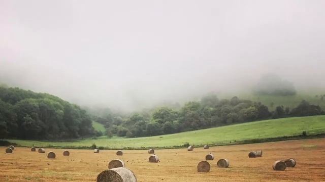 Леонид Филатов «все куда-то я бегу» смотреть онлайн