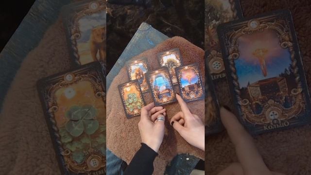 Скорпион. Декабрь. смотреть онлайн