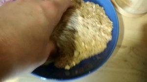 ЛУЧШАЯ ПРИКОРМКА СВОИМИ РУКАМИ НА ЛИНЯ. Рыбалка на линя. Как поймать рыбу линь ?! Прогноз клев!