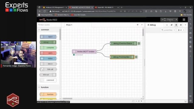 Experts Flows - Criando Broker MQTT no Node-RED смотреть онлайн