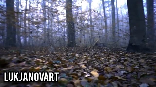 3 Scary TRUE Camping Stories | Rain Sounds | Hiking | смотреть онлайн