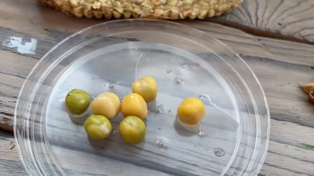 Огород на балконе. Микрозелень🌱 и цветы🌸🤪 смотреть онлайн