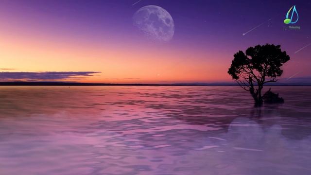Yoga Music, Meditation Music, Sleep Music With Water Sounds | Relaxing Music (Relax 365)