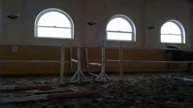 Мерин Рено, прыжочек. смотреть онлайн