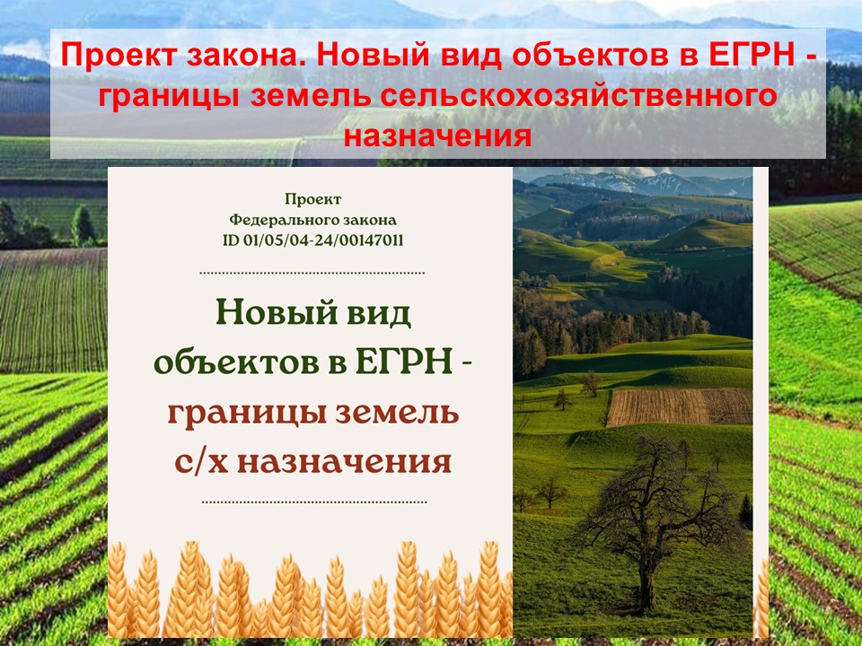 Проект закона. Новый вид объектов в ЕГРН - границы земель сельскохозяйственного назначения
